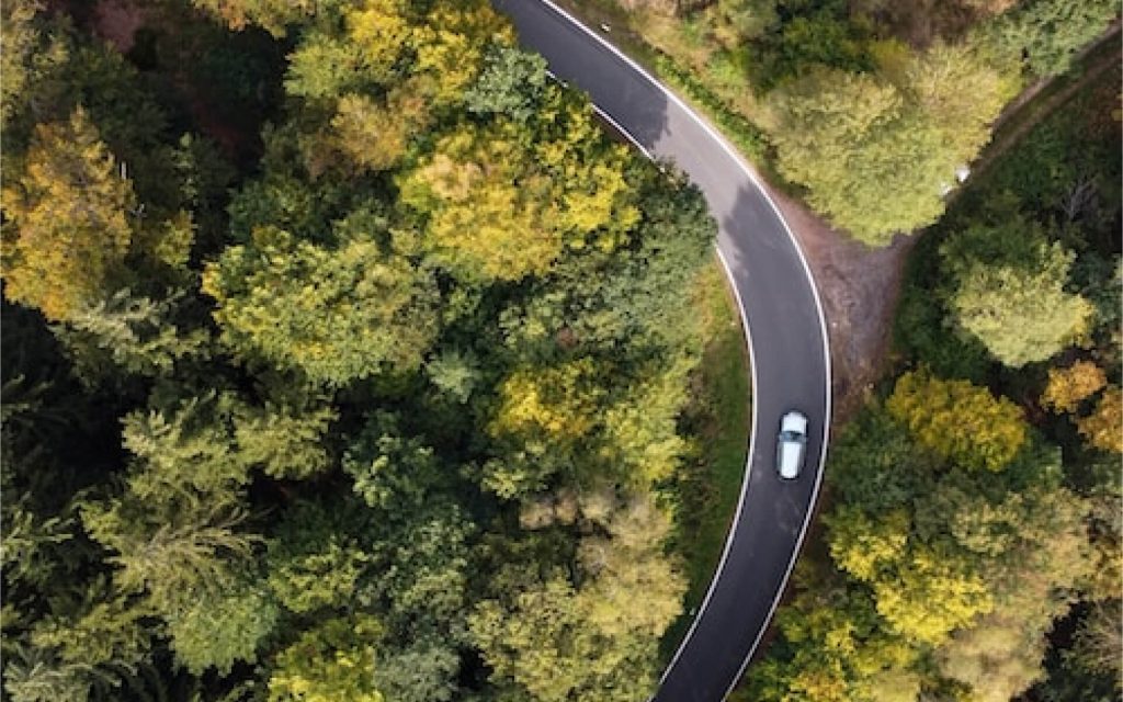 Aerial view of a road in a forest with one car driving.