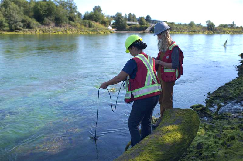 Two workers stand by a river and run tests.