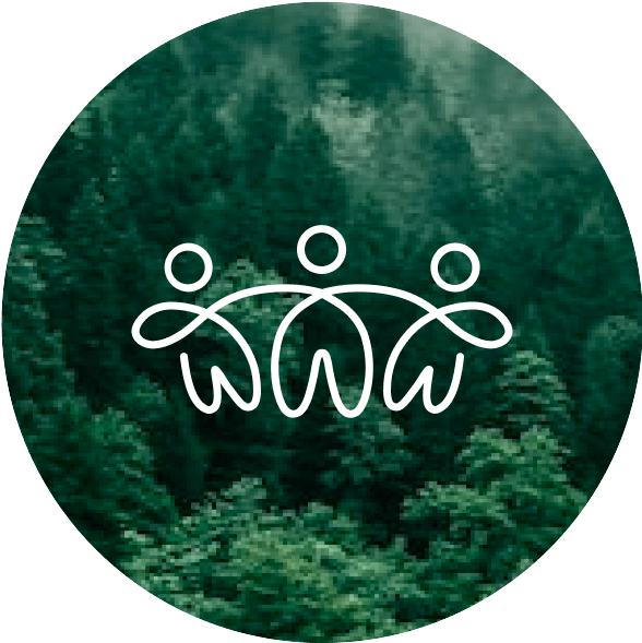 Three figures joining hands over a forest.